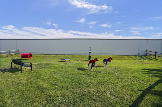 A dog park with agility equipment and a tunnel under a bright blue sky.
