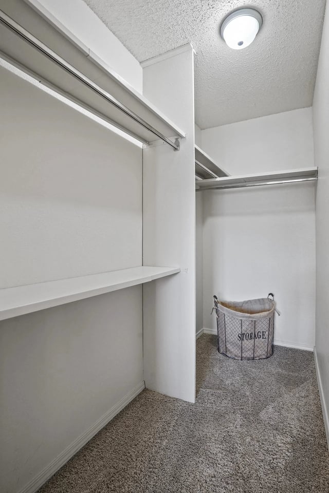 Walk-in closet with white shelves, hanging rods, and a storage basket on beige carpet.