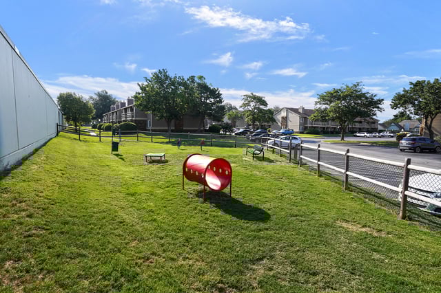 A fenced-in dog park with a red tunnel and benches under a blue sky.