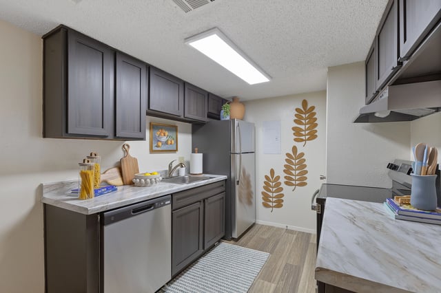 Kitchen with dark cabinets, stainless steel appliances, and granite countertops.