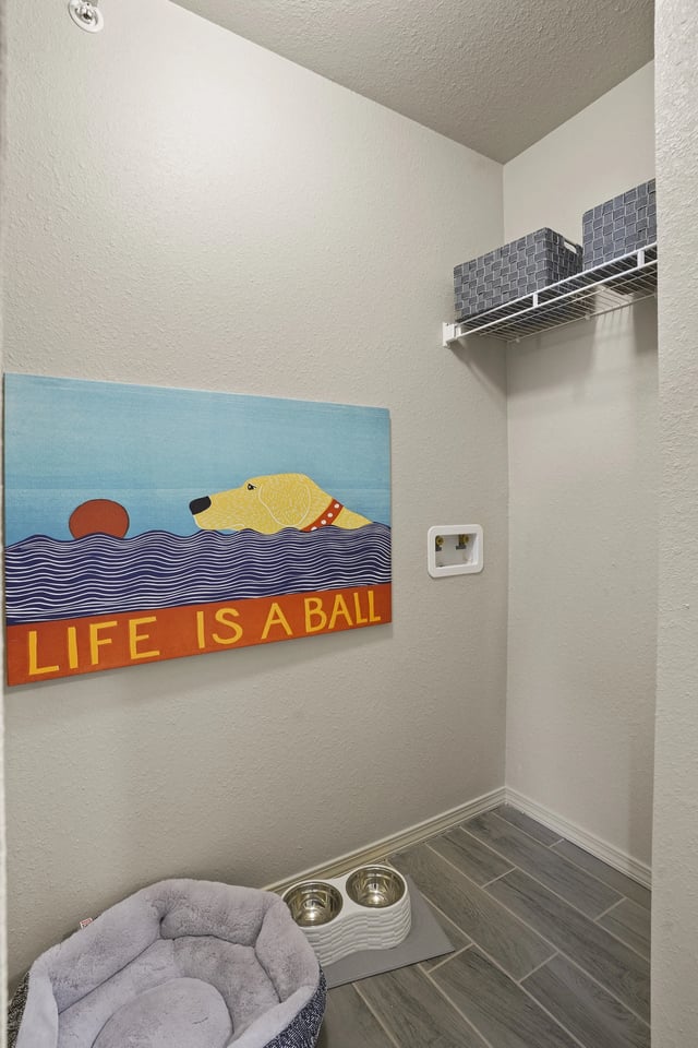 Pet washing station with dog bed, food bowls, and artwork.