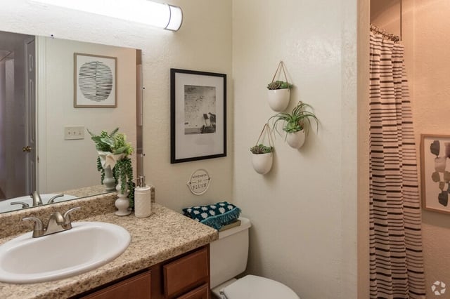 A clean and modern bathroom with a vanity, toilet, and shower curtain.