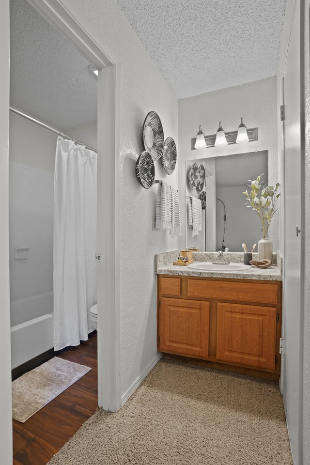 Bathroom with vanity, mirror, and shower.