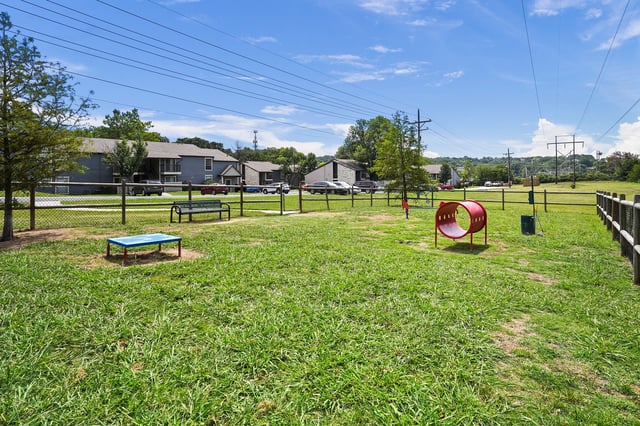 Dog park with agility equipment and seating.
