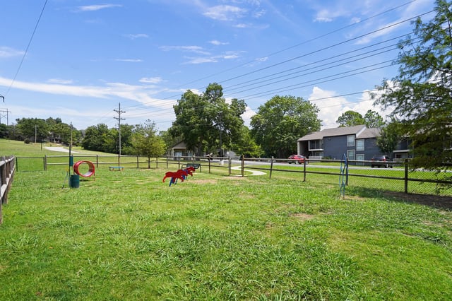 Fenced-in dog park with agility equipment and benches, apartment buildings in the background.