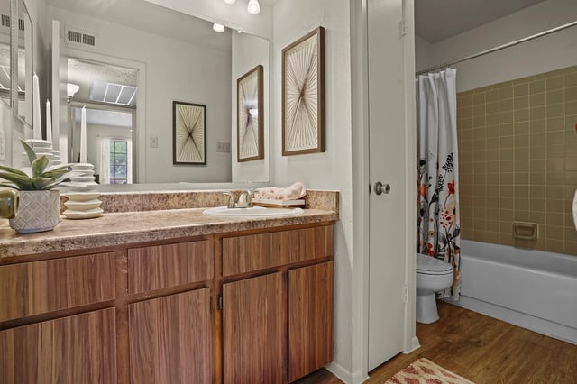 Bathroom with vanity, toilet, and bathtub with shower curtain