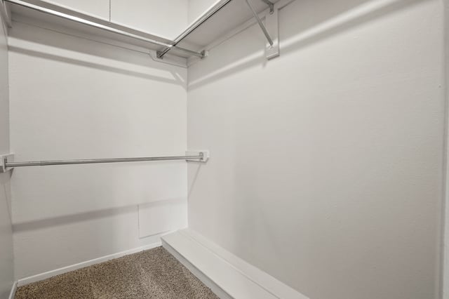 Empty walk-in closet with white walls and carpeted floor.