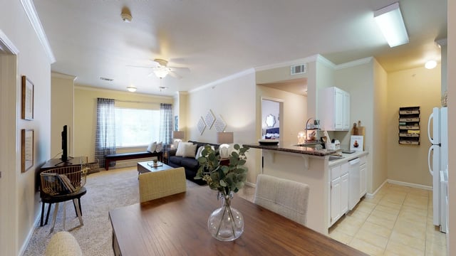 Living room and kitchen area