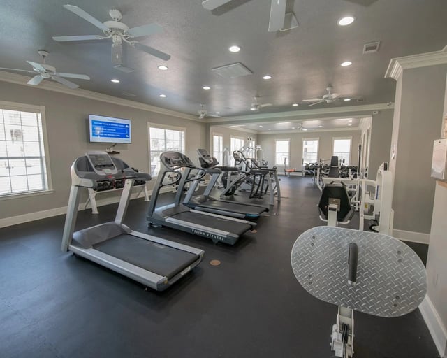 Bright on-site fitness center with treadmills and other cardio machines.