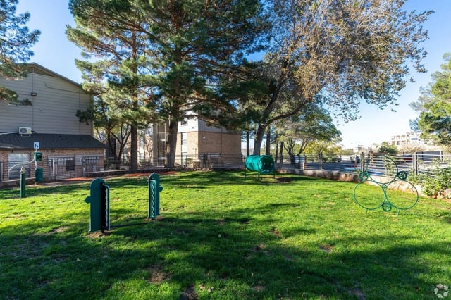 Dog park with agility equipment including hoops and a tunnel.