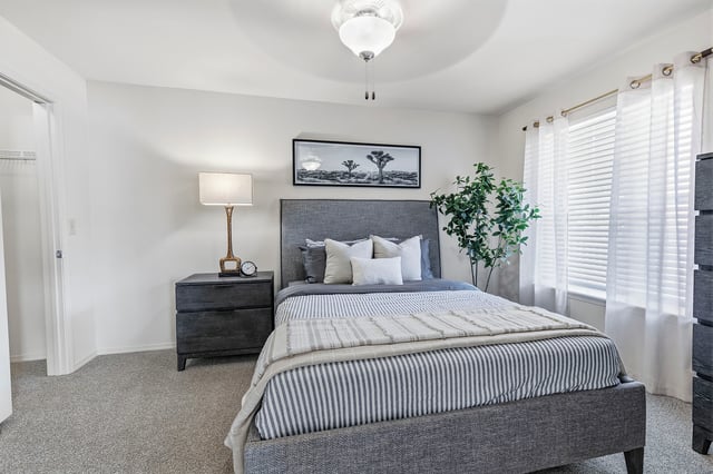 A staged bedroom with a queen-sized bed, nightstand with lamp, and a dresser.