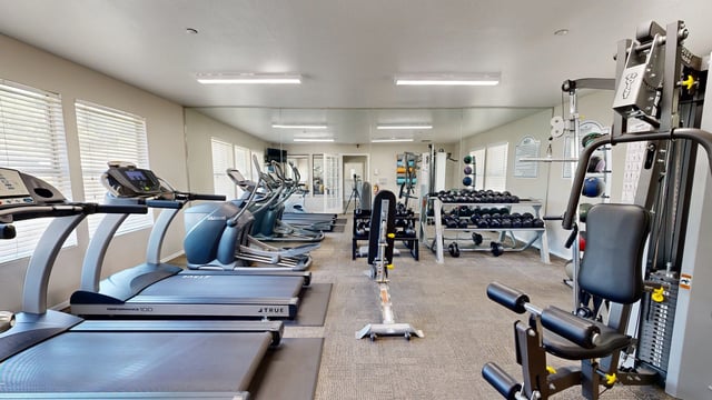 Treadmills, ellipticals, weight machines, and free weights in a community fitness center.