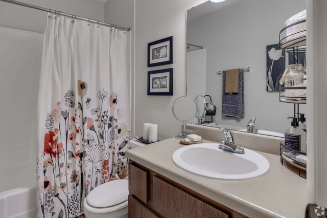 Bathroom with a vanity, sink, toilet, and bathtub with a decorative shower curtain.