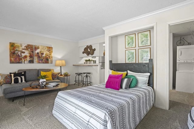 Open-plan living area with a bed, gray sofa, and a small kitchen bar.