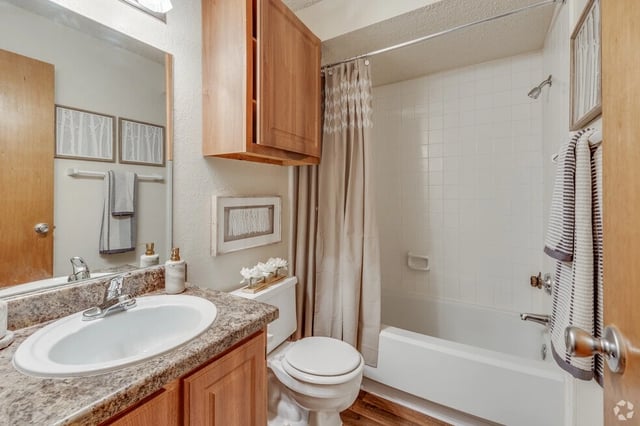Bathroom with vanity, toilet, and shower/tub combo.