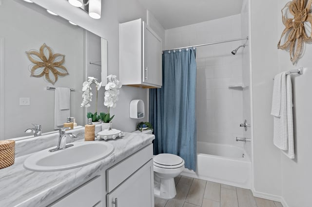 Modern bathroom with a sink, toilet, and shower curtain