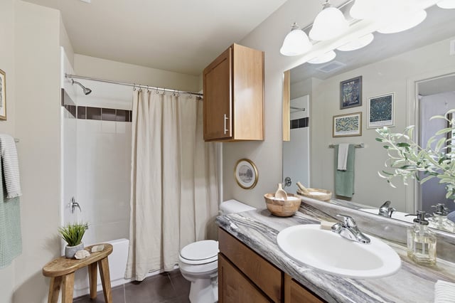 A bathroom with a shower, toilet, and vanity with a marble countertop.