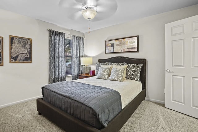 Bedroom with a dark upholstered bed, patterned pillows, two windows with curtains, and a ceiling fan.