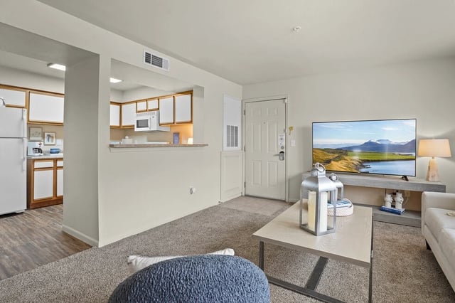 Living room and kitchen area of an apartment.