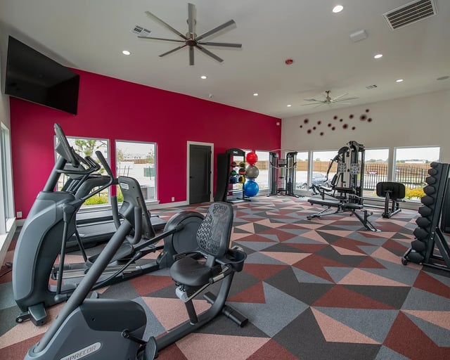 Modern apartment gym with cardio machines, weight machines, and free weights.