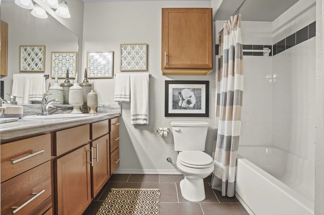 Bathroom vanity with sink, toilet, and bathtub with shower curtain.