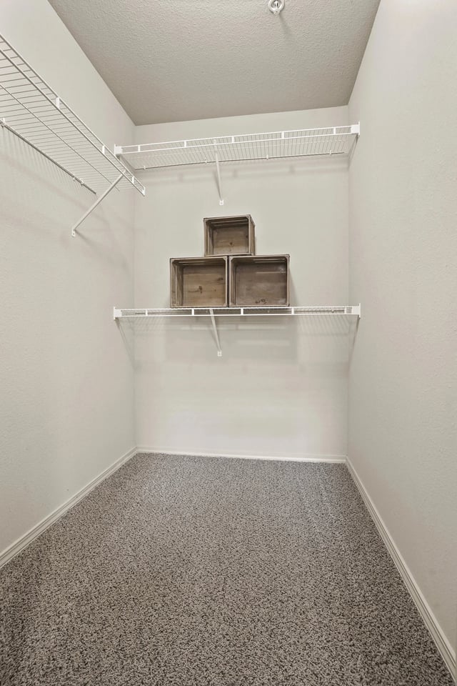 A white room with a shelf and a grey carpet.