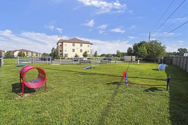 Dog park with agility equipment and a tunnel.