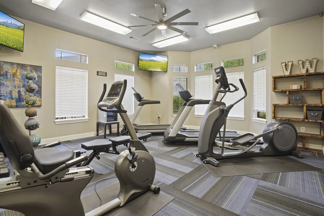 A gym with treadmills, elliptical machines, and a fan.