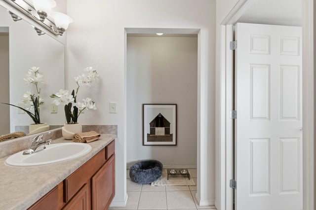 Bathroom vanity with sink, mirror, and a hallway with dog bed and bowls.