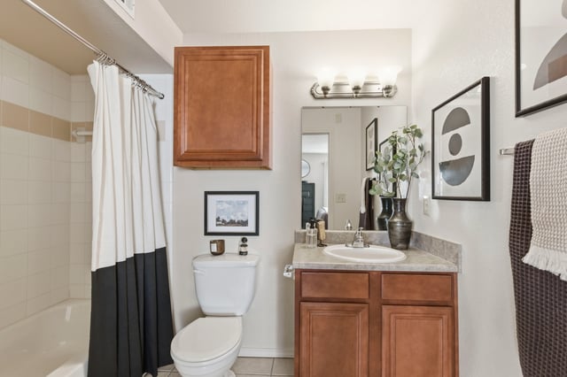Bathroom with toilet, sink, vanity, and shower