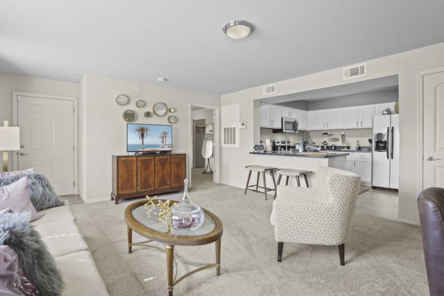 Living room and kitchen of a furnished apartment