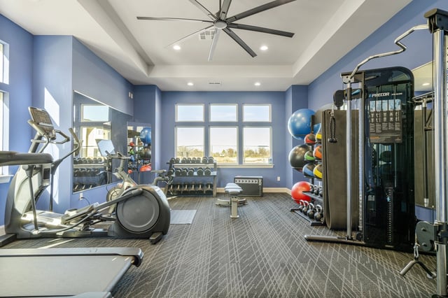 Well-equipped fitness center with cardio machines, weights, and medicine balls.