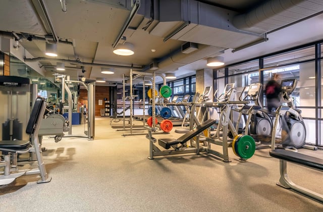 Modern gym with treadmills, weight machines, and free weights.