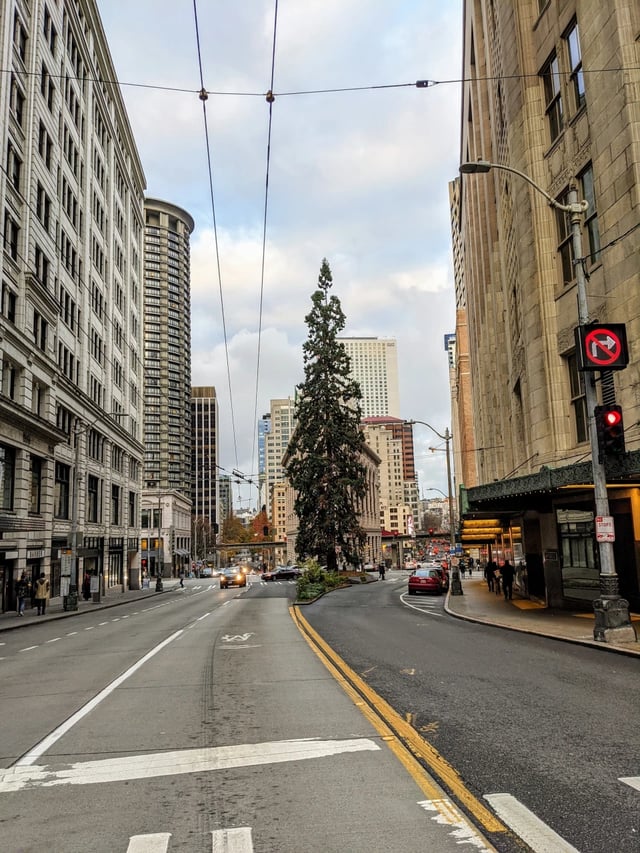 3rd Ave & Pine St