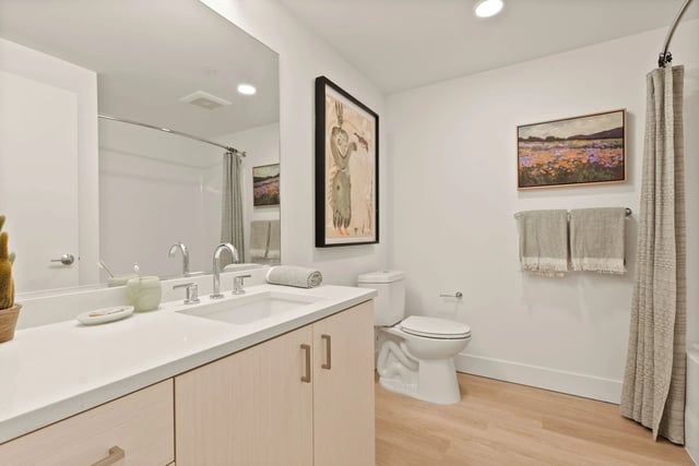 Bathroom with a single-sink vanity, large mirror, toilet, and a shower with a curtain.