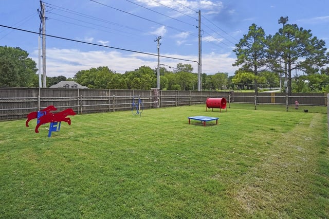 Dog park with agility equipment including red horse figures, a blue weave pole, and a red tunnel.