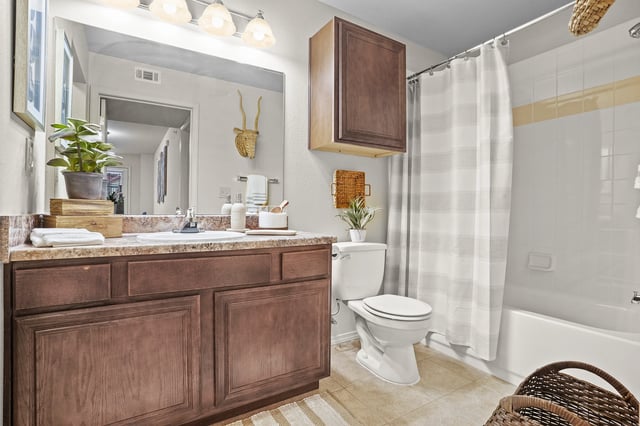Bathroom with vanity, toilet, and bathtub with shower curtain.
