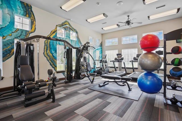 Gym with weight machines, treadmills, and stability balls.