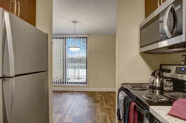 Kitchen with stainless steel appliances and view of living room.