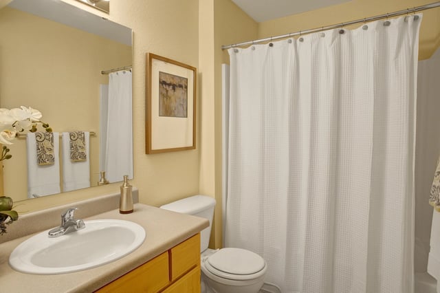 Bathroom vanity with sink, toilet, and shower with white curtain.
