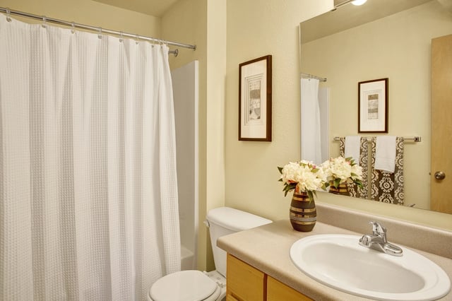 Bathroom with shower curtain, toilet, vanity with sink, and mirror.