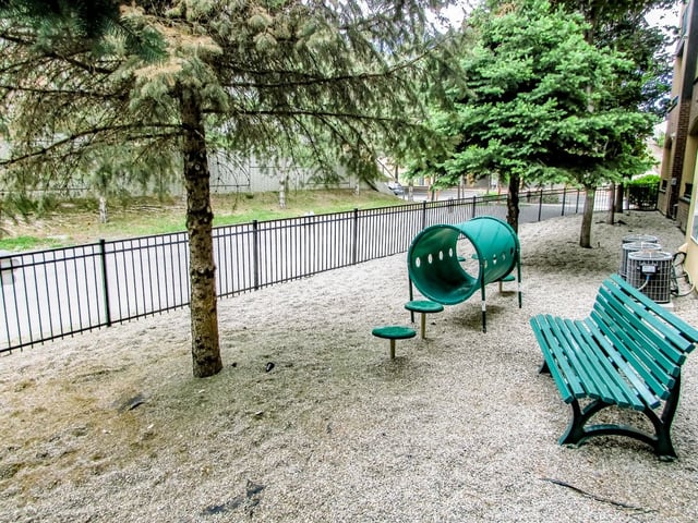 Outdoor dog park area with a tunnel, bench, and trees.