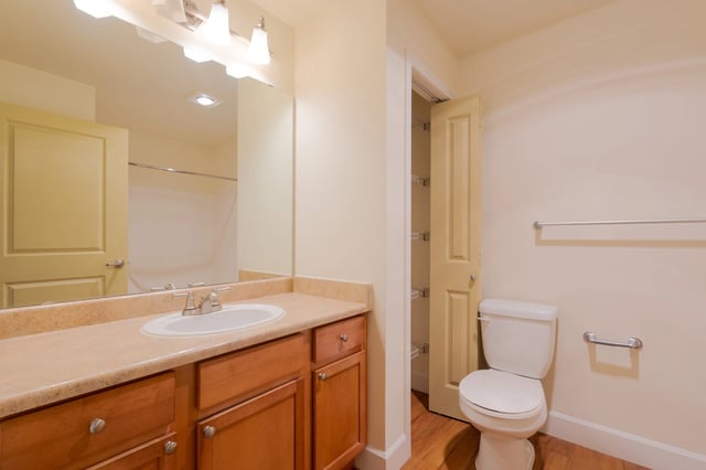 A bathroom vanity with a sink and mirror, a toilet, and a closet with shelves.