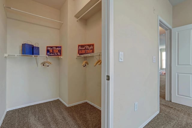 Closet with shelving and hanging rods, decorated with two blue shopping bags and two decorative signs.