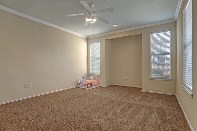 Empty bedroom with plush carpet, a ceiling fan, and large windows.