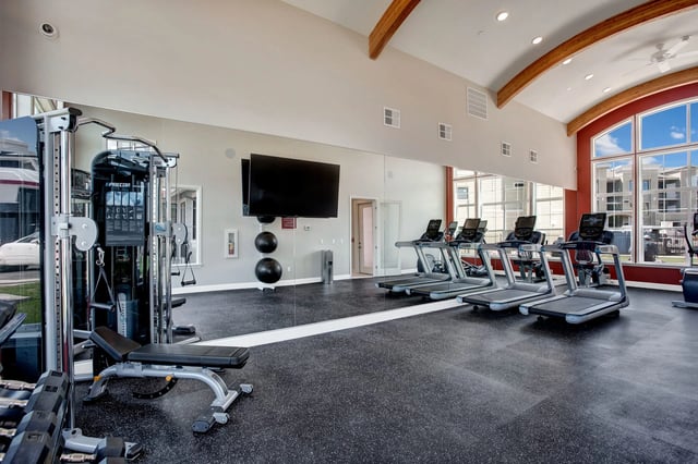 Gym with treadmills, weight machines, and mirrors.