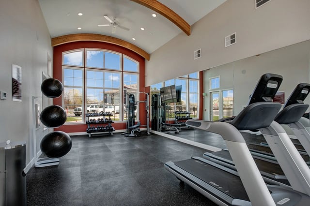 Gym equipment including treadmills, weight racks, and medicine balls, with large windows overlooking the exterior.