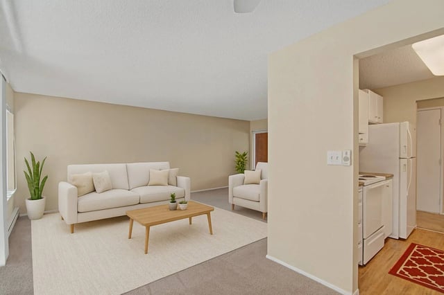 Living room and kitchen of an apartment