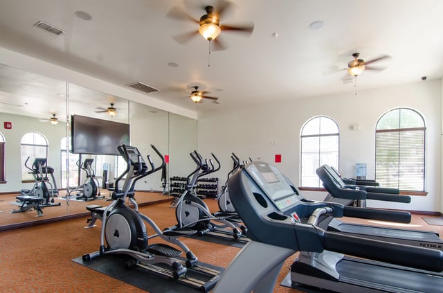 Treadmills and elliptical machines in a spacious fitness center with mirrored walls.