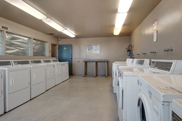 Laundry room with rows of washing machines and dryers.